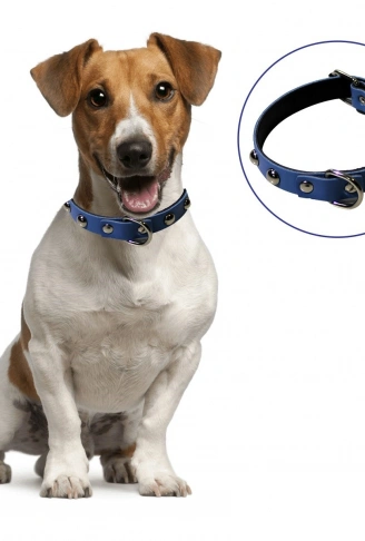 Yumuşak Dokulu Deri Köpek Gezdirme Boyun Tasması (Large) (4940)