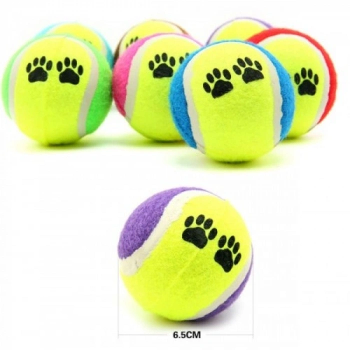 At Getir Köpek Eğitim Topu (4940)