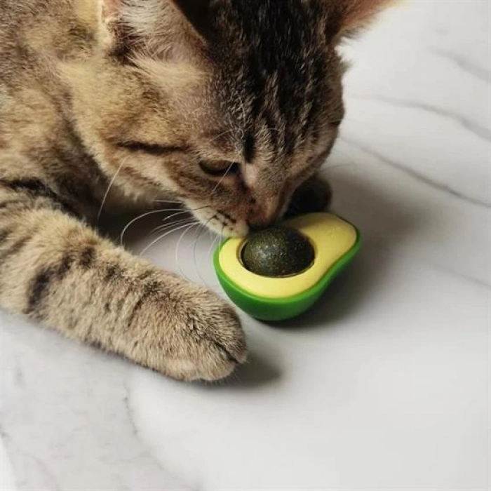 Avokado Model Yapışkanlı Kedi Oyuncağı Yenilebilir Kedi Nanesi Otu (4940)