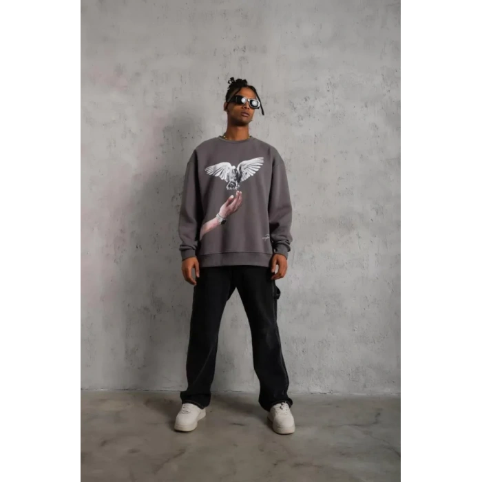 Erkek Güvercin Baskılı Sweatshirt - Gri