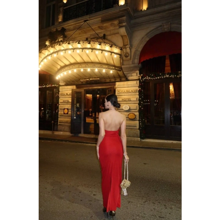 Kadın Aksesuarlı Halter Yaka Sırt Dekolte Detay Maxi Boy Elbise