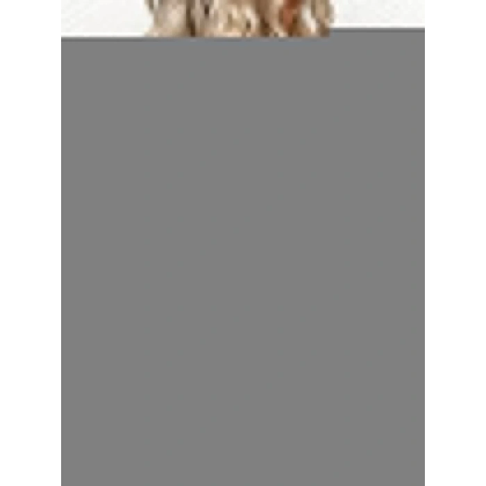 Kadın Kısa Kollu V Leopar Yakalı Viskon Bluz