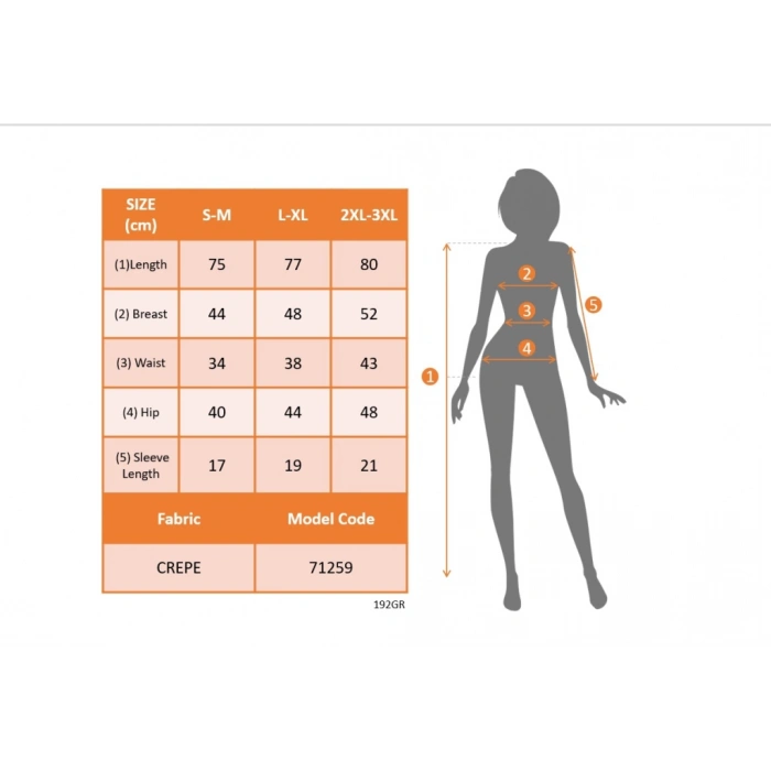 Kadın Kısa Kollu Yarı Balıkçı Yaka Tül Detaylı Kısa Janjan Krep Elbise