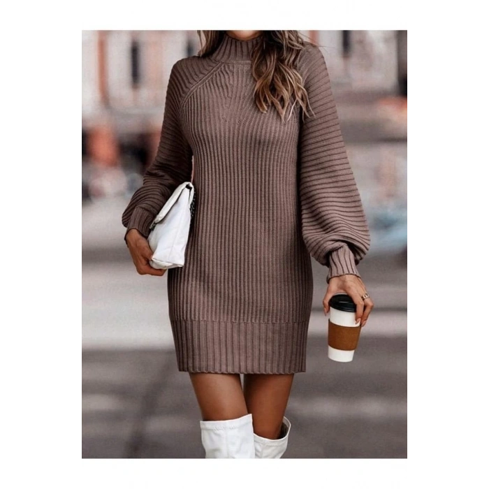 Kadın Uzun Kollu Balıkçı Yaka Mini Triko Elbise