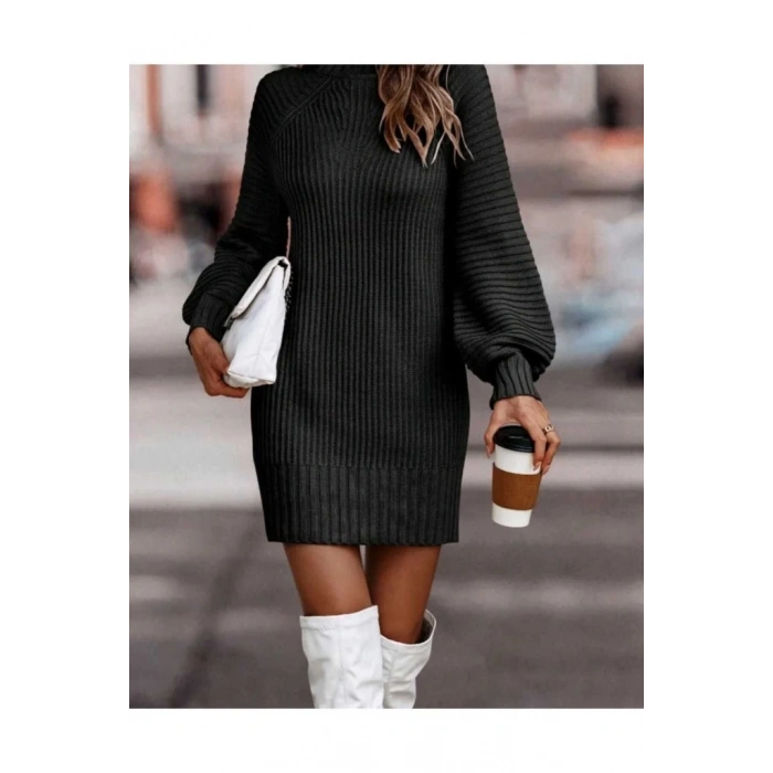 Kadın Uzun Kollu Balıkçı Yaka Mini Triko Elbise