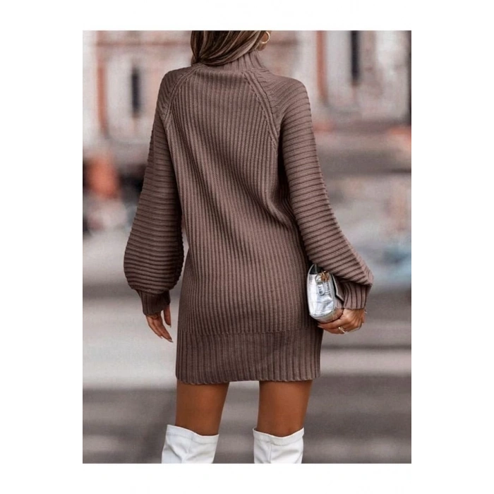 Kadın Uzun Kollu Balıkçı Yaka Mini Triko Elbise