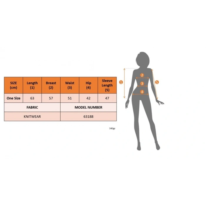 Kadın Uzun Kollu Balıkçı Yaka Triko Bluz