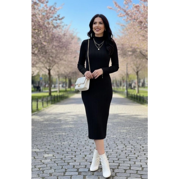 Kadın Uzun Kollu Balıkçı Yaka Triko Elbise