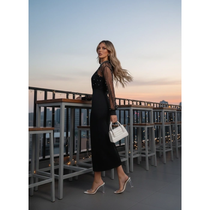 Kadın Uzun Kollu Halka Yaka Tül Inci Detaylı Uzun Ithal Krep Elbise