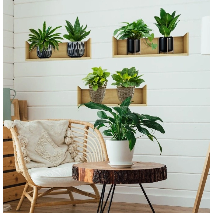 Raflı Bitki Tasarımlı Yapışkanlı Sticker 20*30 cm 3lü Set (4940)