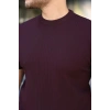Erkek Bisiklet Yaka Petek Dokulu Kısa Kollu Triko Tişört