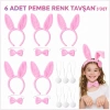 Full Pembe Renk Tavşan Sahne Seti 6'lı Set Taç Papyon Kuyruk (4940)