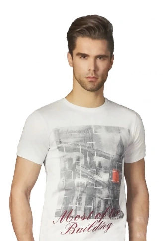 Berrak Erkek Köprü Baskılı T-Shirt 1047