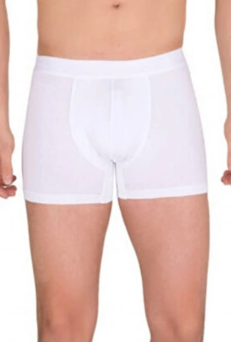 Berrak Erkek Modal Boxer  4476