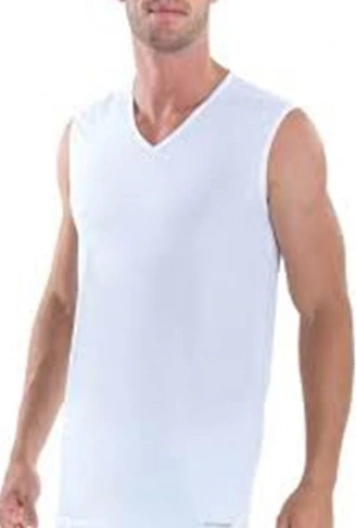 Erkek V Yaka 2li 9677