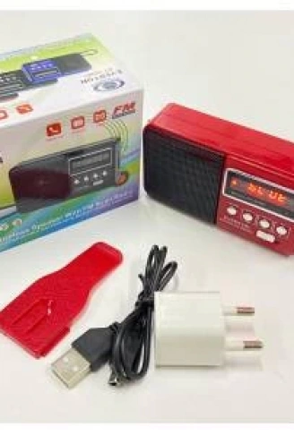 Rt303 Usb Ve Micro Kart Girişli Manuel El Radyosu