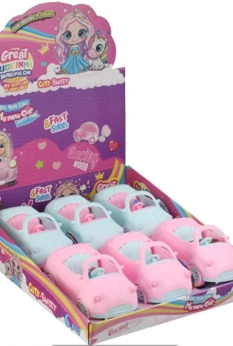 02619  ANLİLY MİNİ ARABA