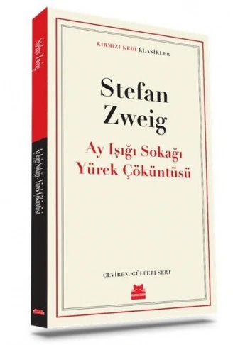 Kitap: Ay Işığı Sokağı Yürek Çöküntüsü