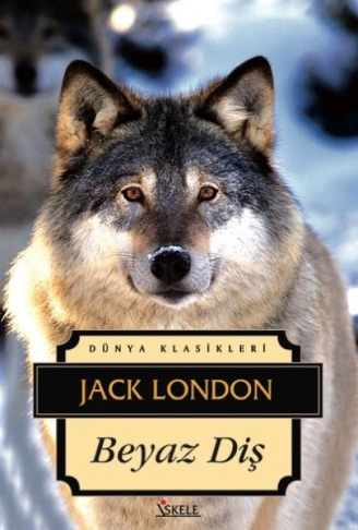 Kitap: Beyaz Diş