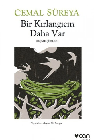 Kitap: Bir Kırlangıcın Daha Var