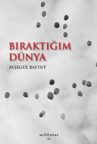 Kitap: Bıraktığım Dünya