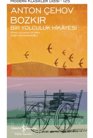 Kitap: Bozkır Bir Yolculuk Hikayesi - Modern Klasikler Dizisi (Şömizli)