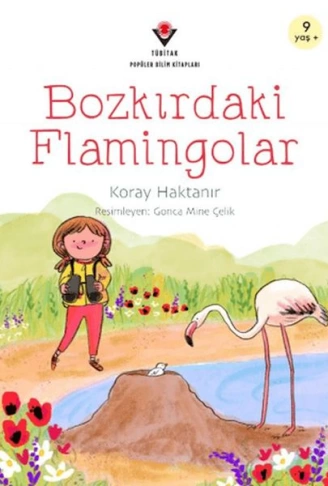 Bozkırdaki Flamingolar