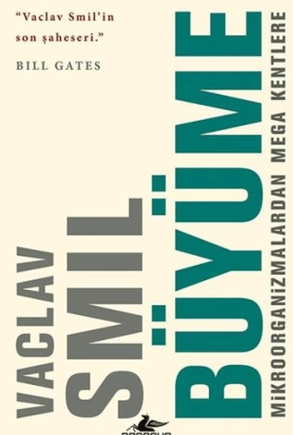 Büyüme