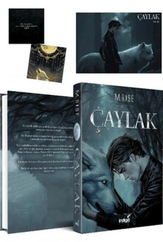 Kitap: Çaylak