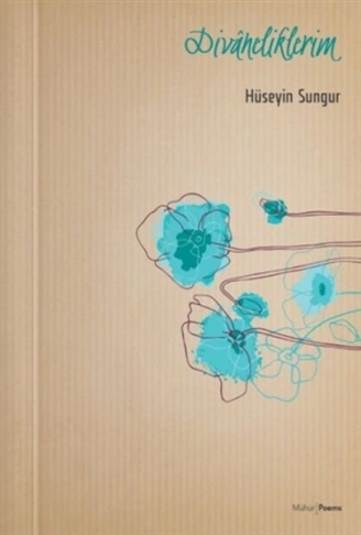 Kitap: Divaneliklerim