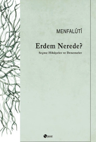 Kitap: Erdem Nerede? Seçme Hikayeler ve Denemeler
