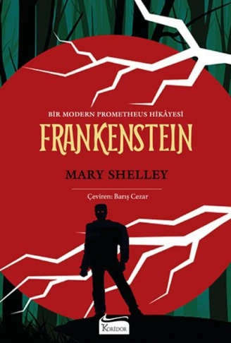 Kitap: Frankenstein (Bez Ciltli)