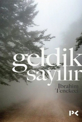 Kitap: Geldik Sayılır