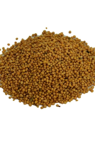 Hardal Tohumu Tane Doğal Sarı 100 Gr Paket