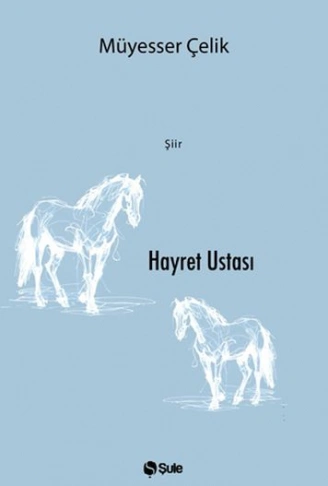 Kitap: Hayret Ustası