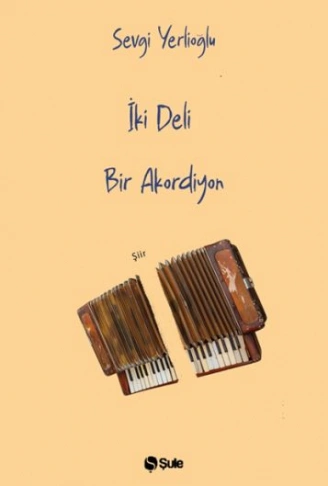 Kitap: İki Deli Bir Akordiyon