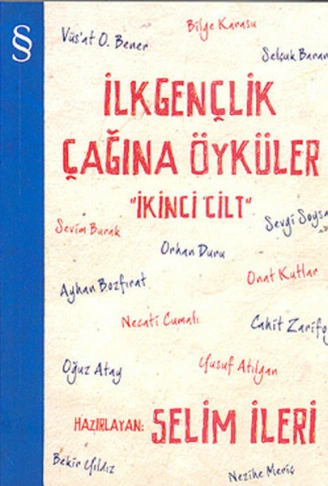 Kitap: İlkgençlik Çağına Öyküler - 2. Cilt