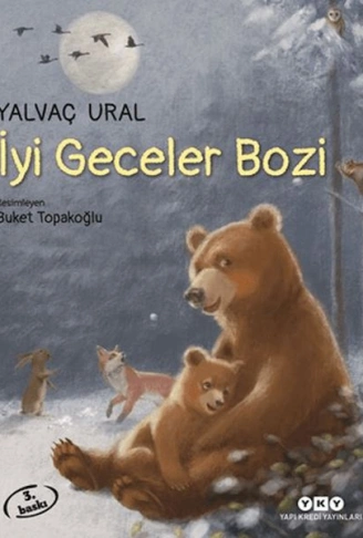 Kitap: İyi Geceler Bozi