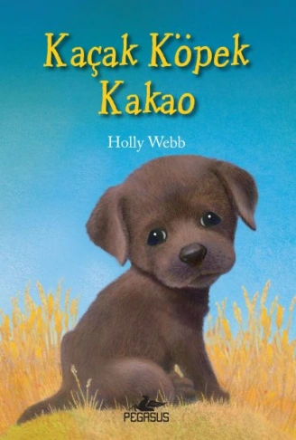 Kitap: Kaçak Köpek Kakao