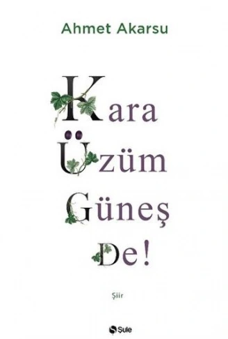 Kitap: Kara Üzüm Güneş De