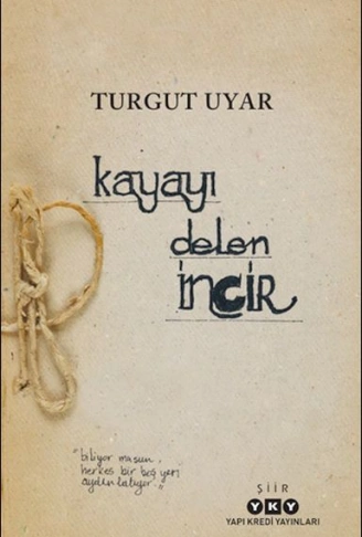Kitap: Kayayı Delen İncir