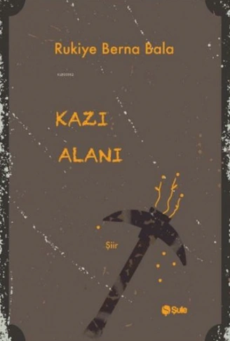 Kitap: Kazı Alanı