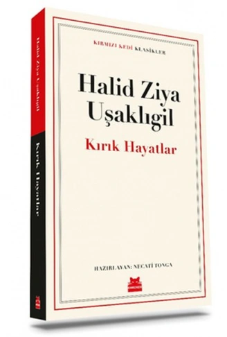 Kitap: Kırık Hayatlar