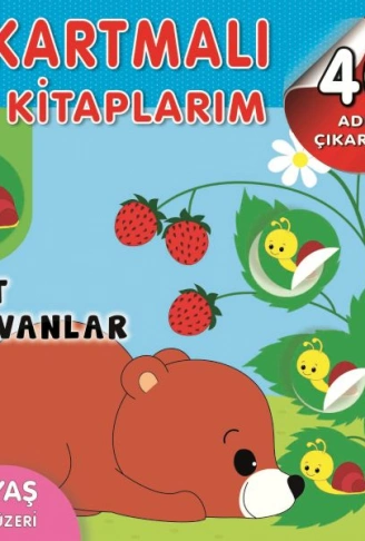 Kitap: Çıkartmalı Kitaplarım-Dost Hayvanlar