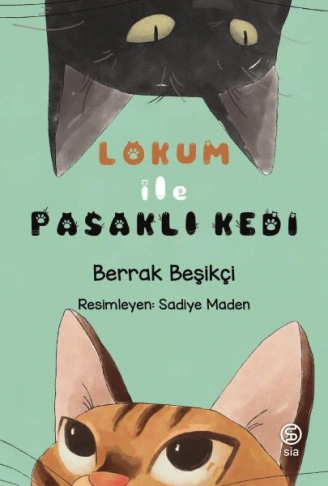 Kitap: Lokum ile Pasaklı Kedi