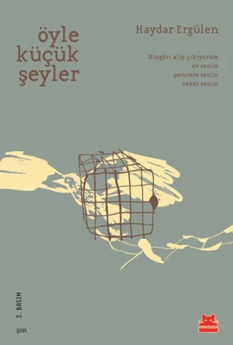 Kitap: Öyle Küçük Şeyler