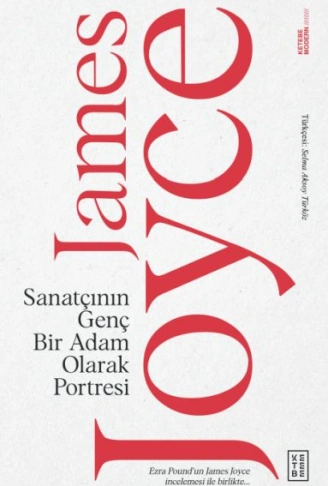 Kitap: Sanatçının Genç Bir Adam Olarak Portresi