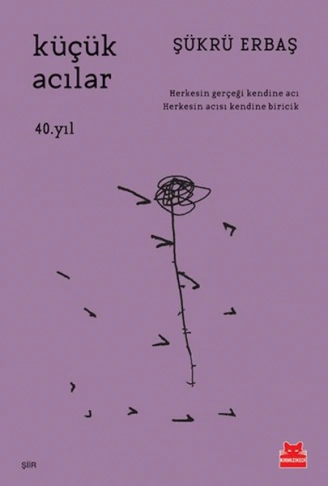 Kitap: Küçük Acılar