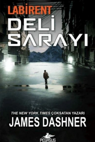 Kitap: Labirent Deli Sarayı
