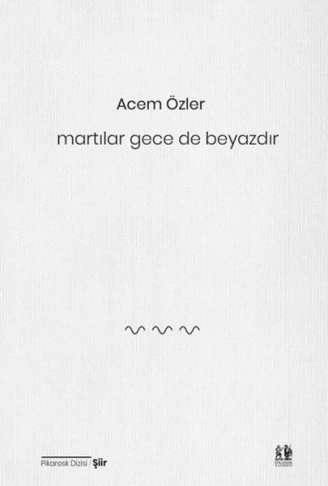 Kitap: Martılar Gece de Beyazdır